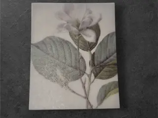 Elegant papirark med hvid blomst på mørk baggrund