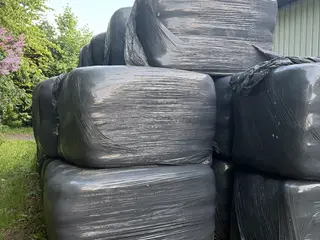 Wraphø minibig 