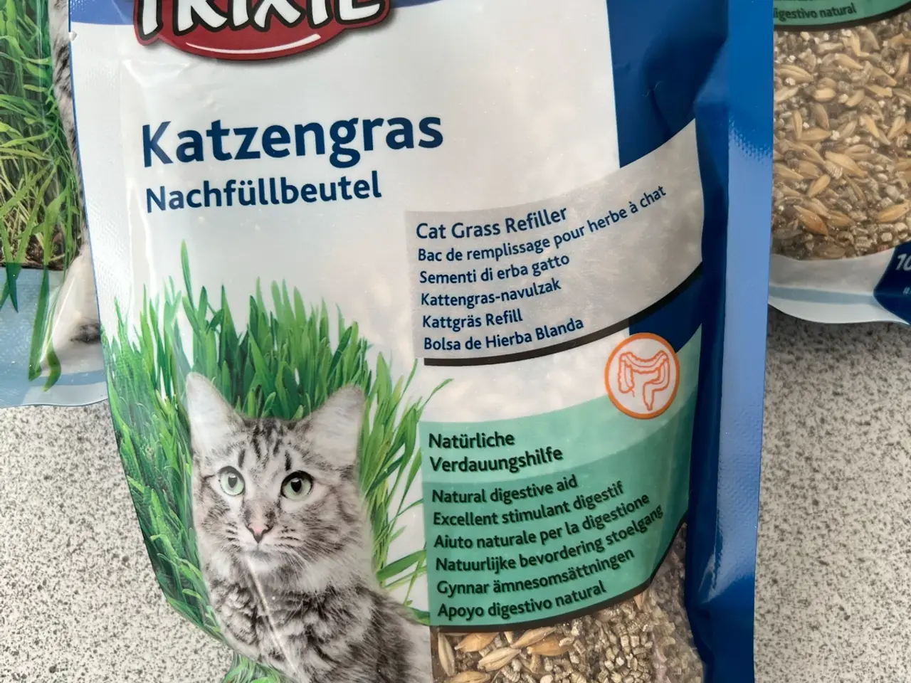 Billede 4 - Frø til kattegræs
