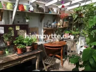 Hjembytte - Todesgade