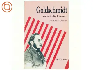 Goldschmidt - en fortrolig fremmed af Knud Sørensen (bog)
