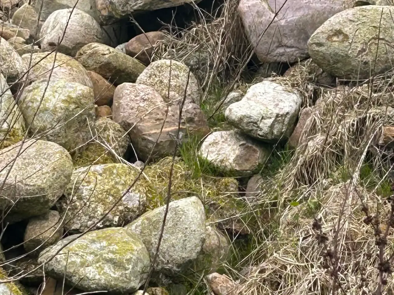 Billede 1 - Marksten i forskellige størrelser