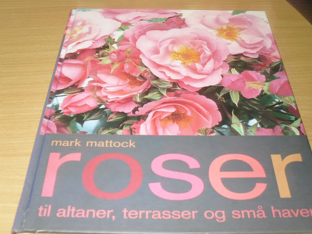 Billede 1 - Mark Mattock. ROSER.