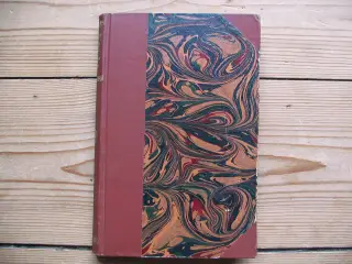 Frederik Paludan-Müller. Danserinden. fra 1901