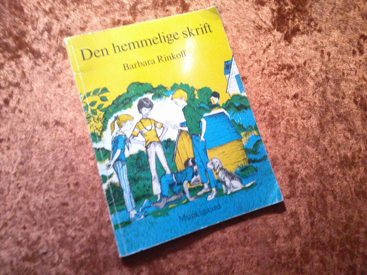 Billede 1 - Den hemmelige skrift, Barbara Rinkoff,