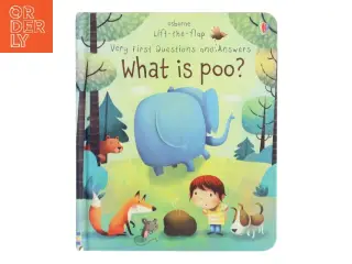 Very First Lift-The-flap Questions and Answers What Is Poo? af Katie Daynes (Bog)