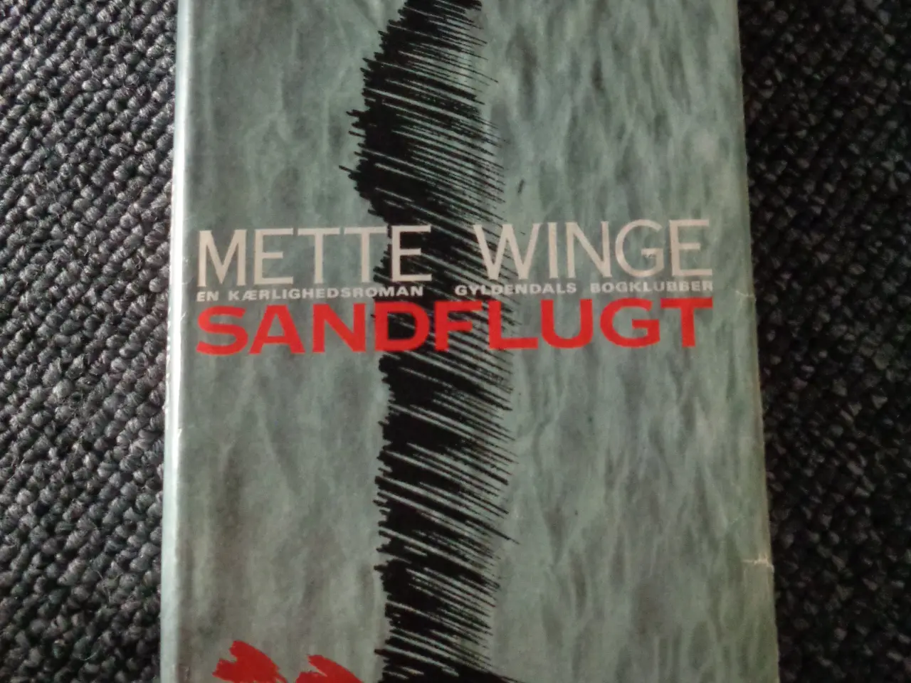 Billede 1 - Sandflugt 