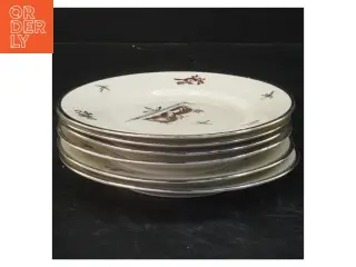 Kbh. Porcelæns maleriPorcelænstallerkener Ø 16 cm fra KPM (str. Ø 16 cm)