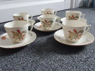 Bing og Grøndal kaktus kaffestel