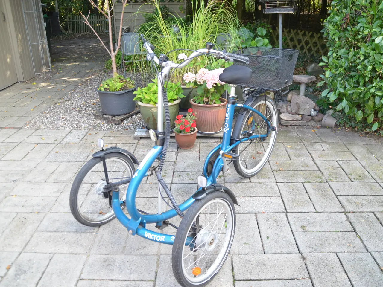 Billede 3 - 3 hjulet handicap cykel