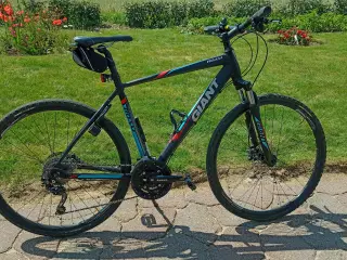 Giant Roam 1 Disc Hybridcykel