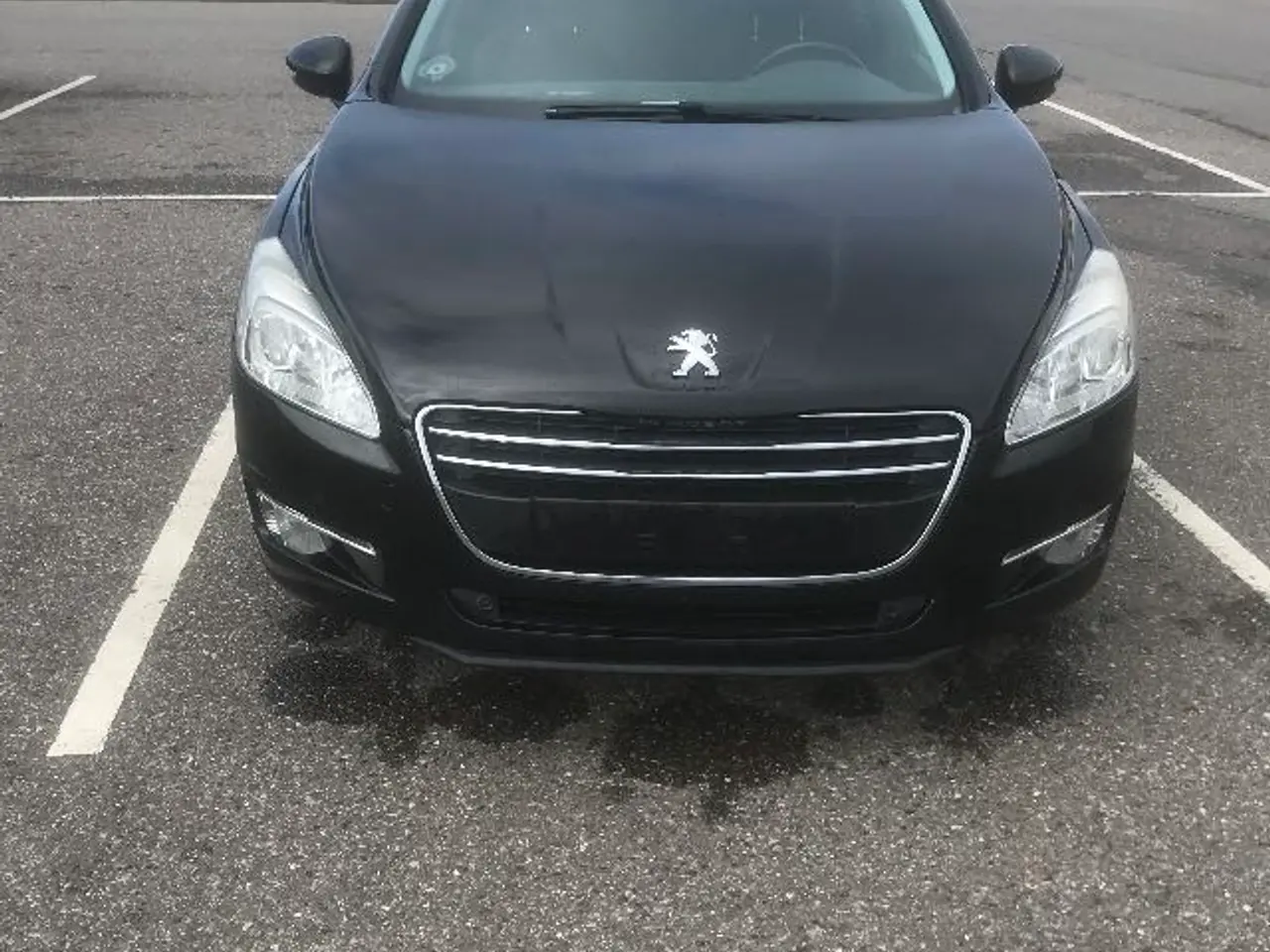 Billede 7 - Peugeot 508  1,6 hdi  112 hk sw  19 december 2011