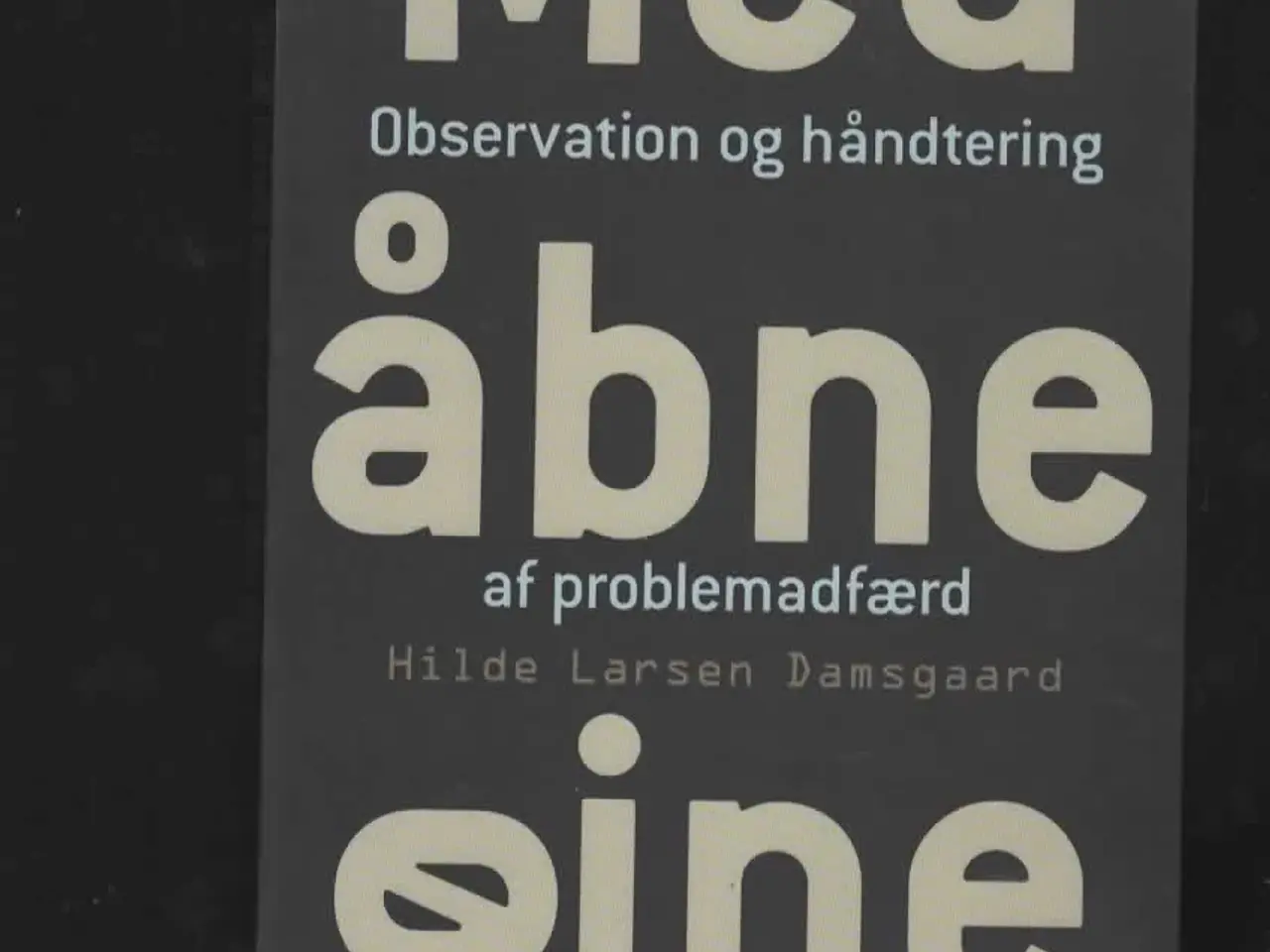 Billede 2 - pædagogisk observation