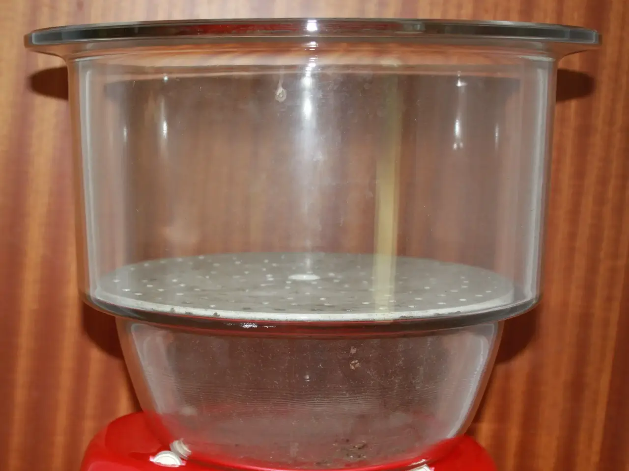 Billede 1 - Kæmpe vase / plantekumme af glas