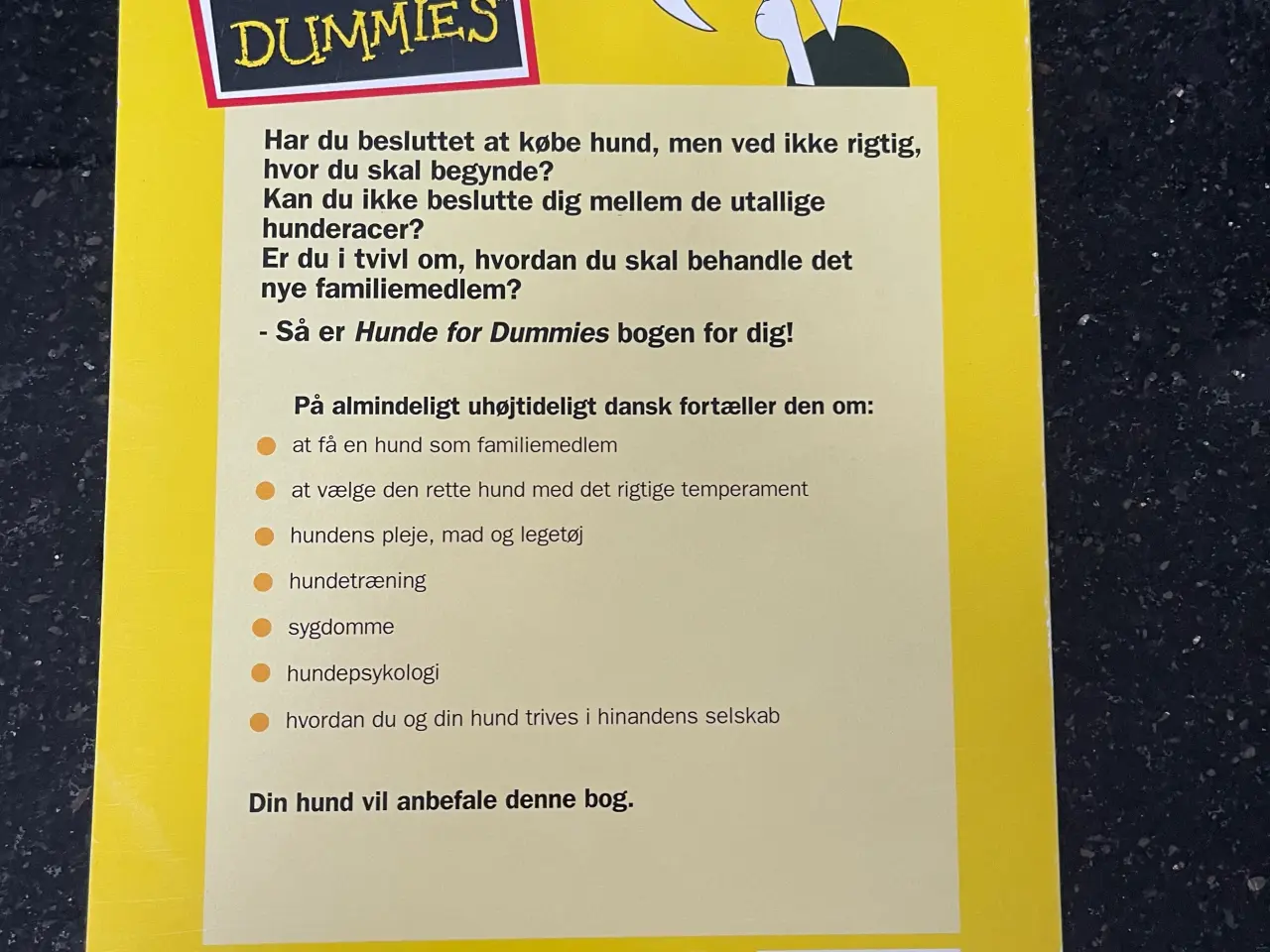 Billede 2 - Bogen - Hunde for Dummies