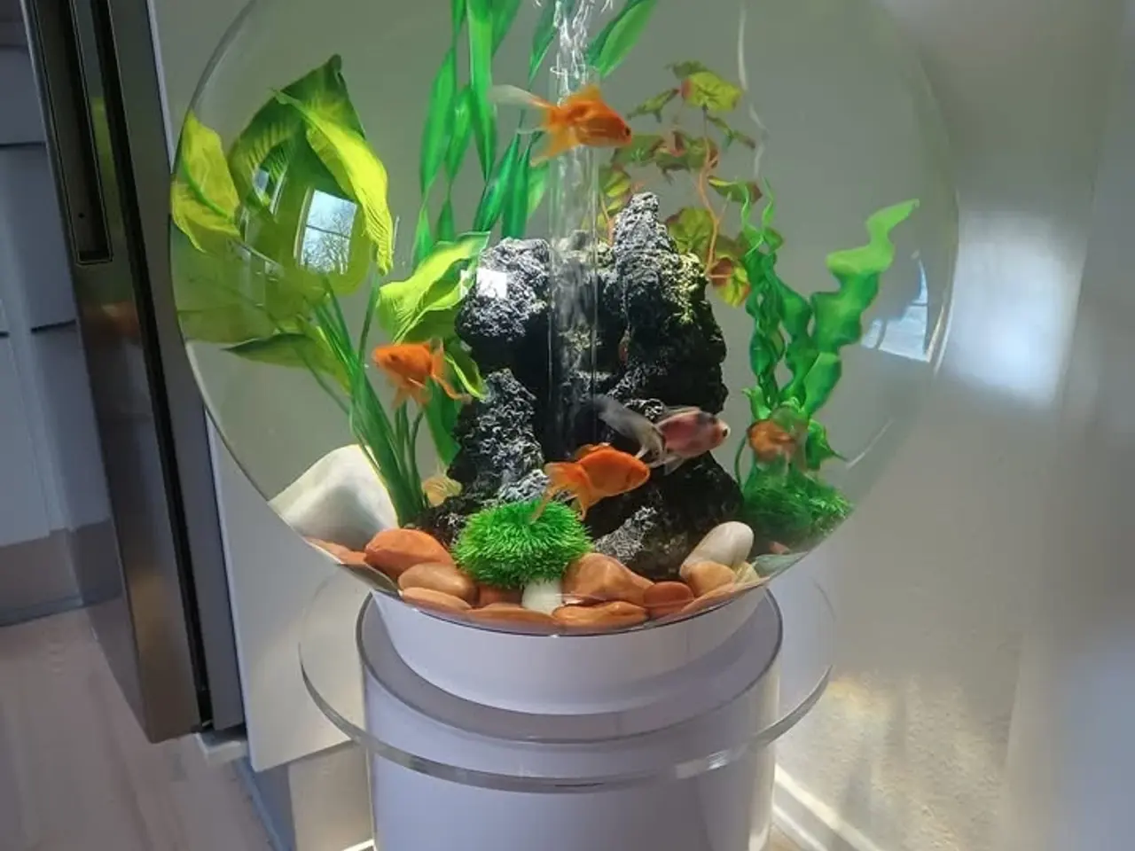 Billede 1 - Biorb Akvarie med Stand (Acryl)