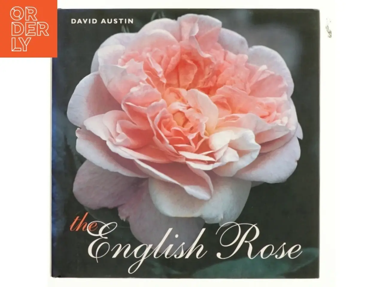 Billede 1 - The English rose af David Austin