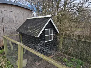 Høns/kyllinghus