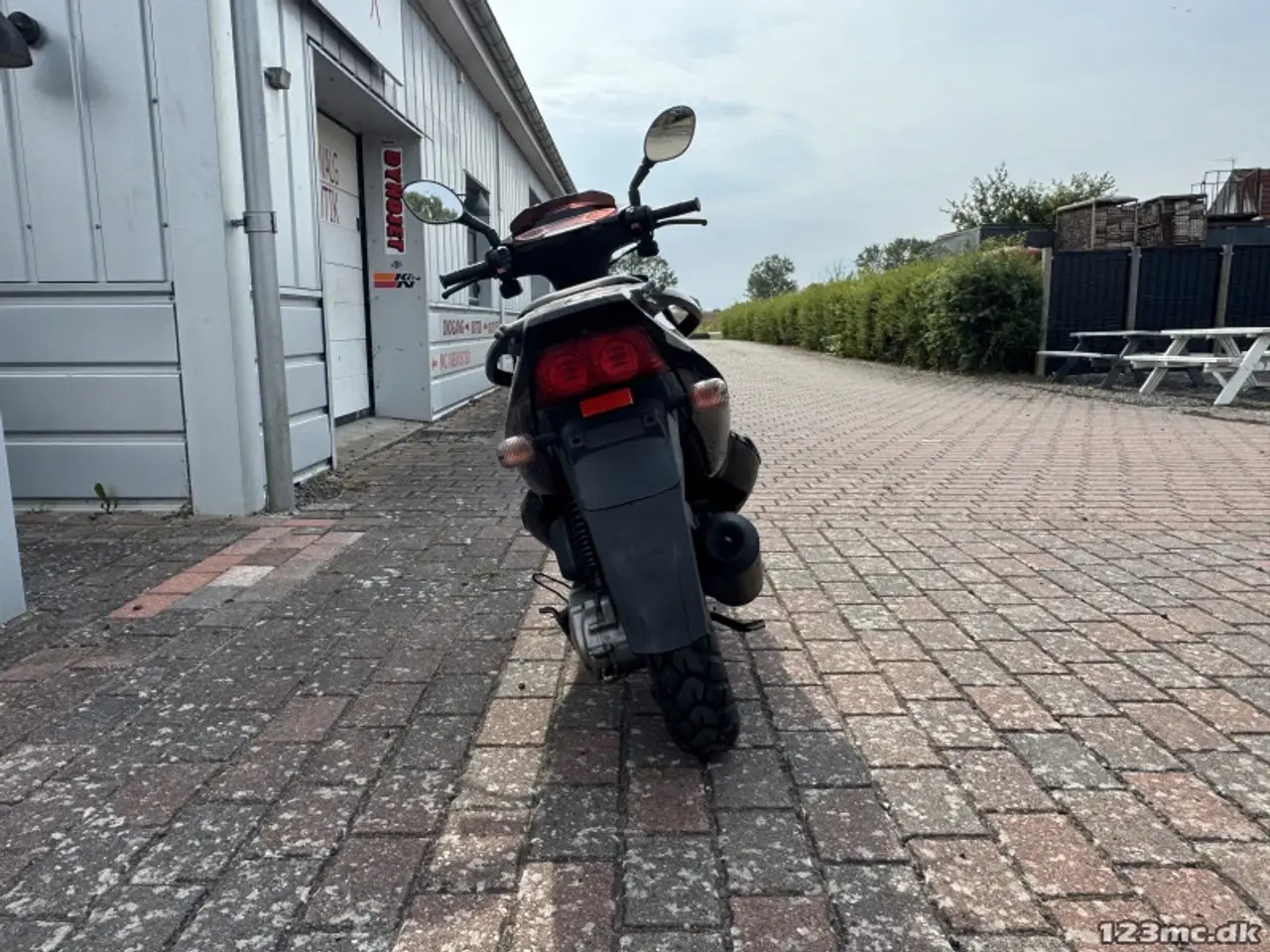 Billede 4 - PGO T-Rex 110