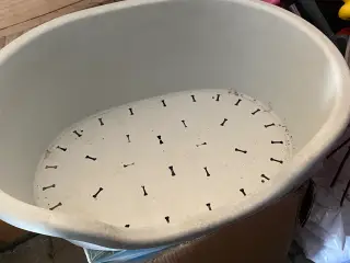 Hundekurv