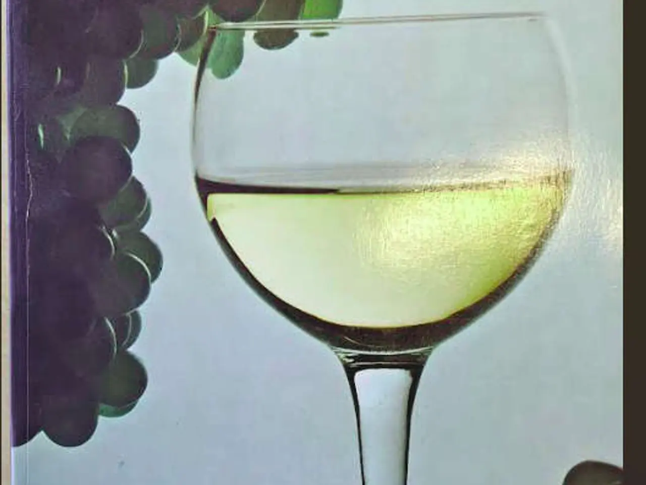 Billede 1 - Hugh Johnson: Wine, at vælge, servere og nyde vin