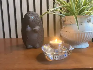 Kähler pindsvind