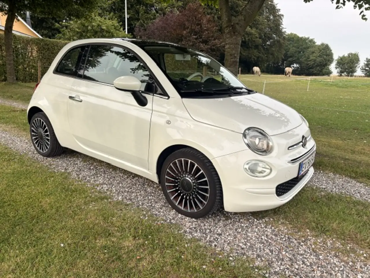Billede 2 - Fiat 500 0,9 TwinAir 80 HK Lounge Nysynet 