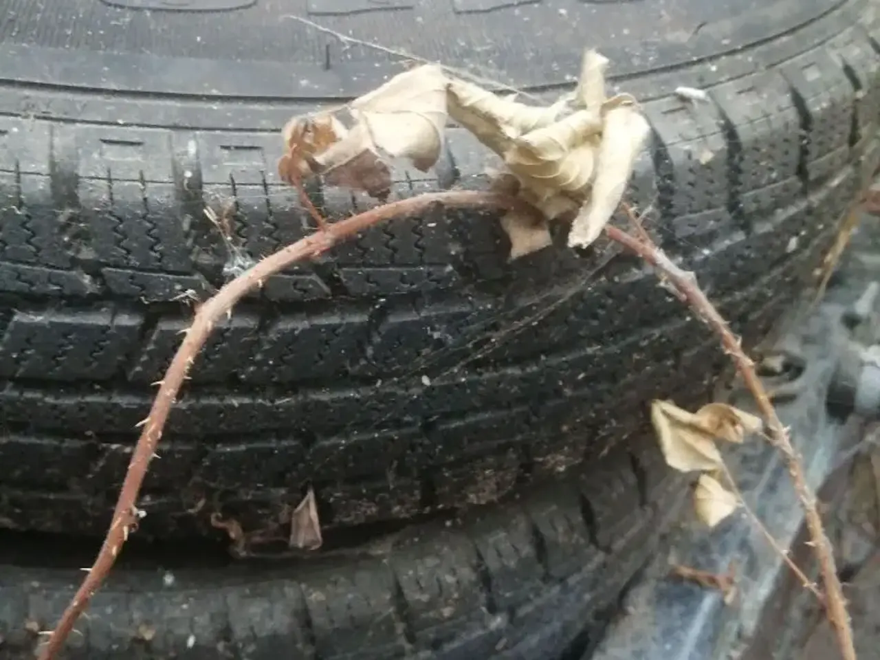 Billede 2 - 14" alufælge Volvo 260