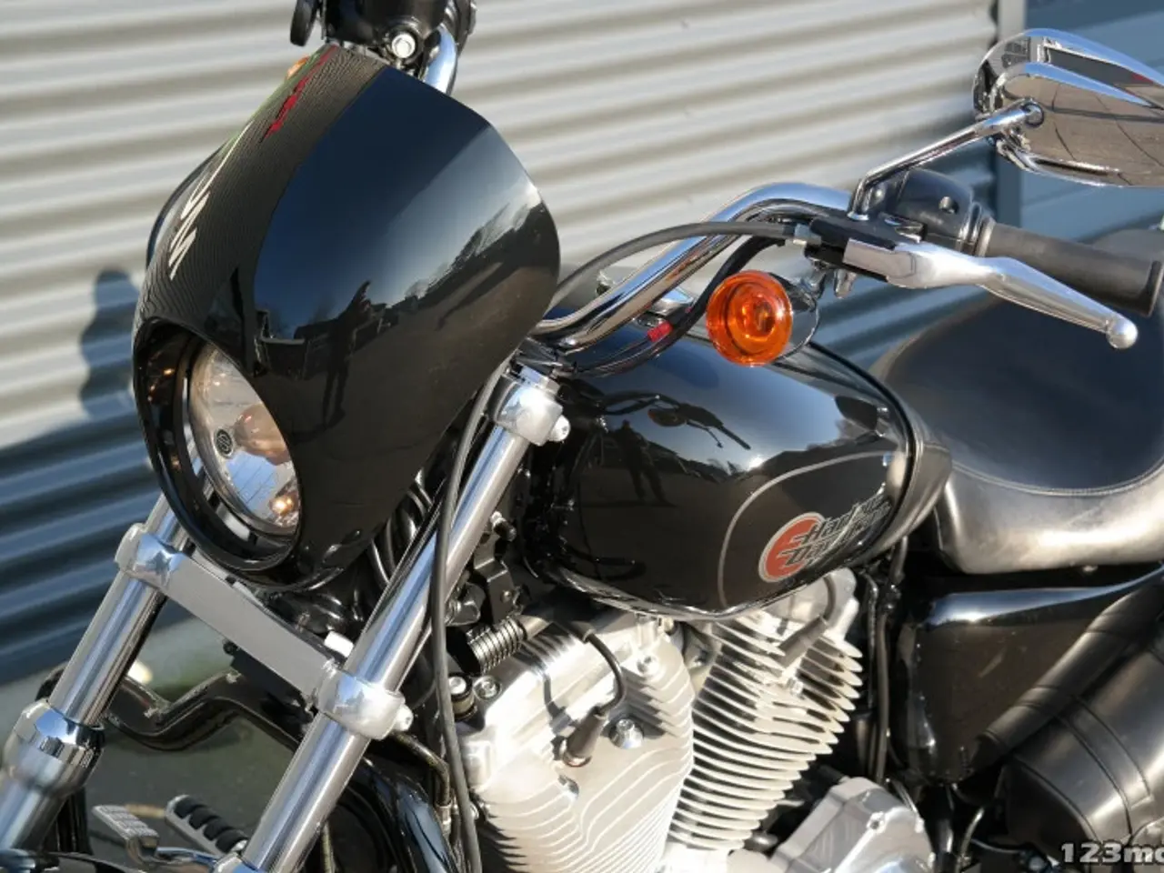 Billede 19 - Harley-Davidson XL883L MC-SYD       BYTTER GERNE