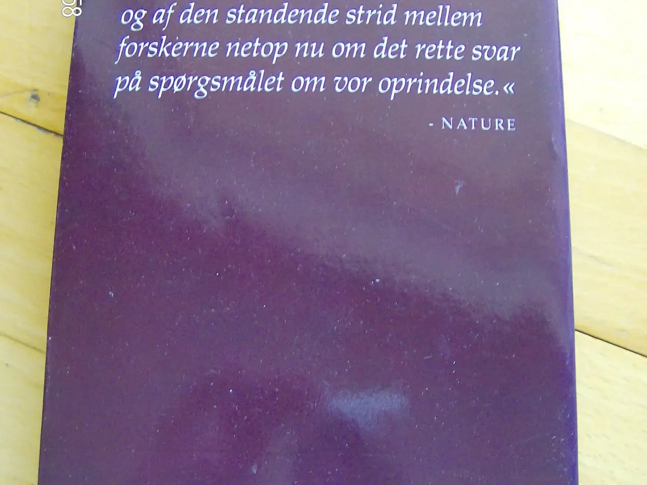 Billede 2 - Jagten på Eva
