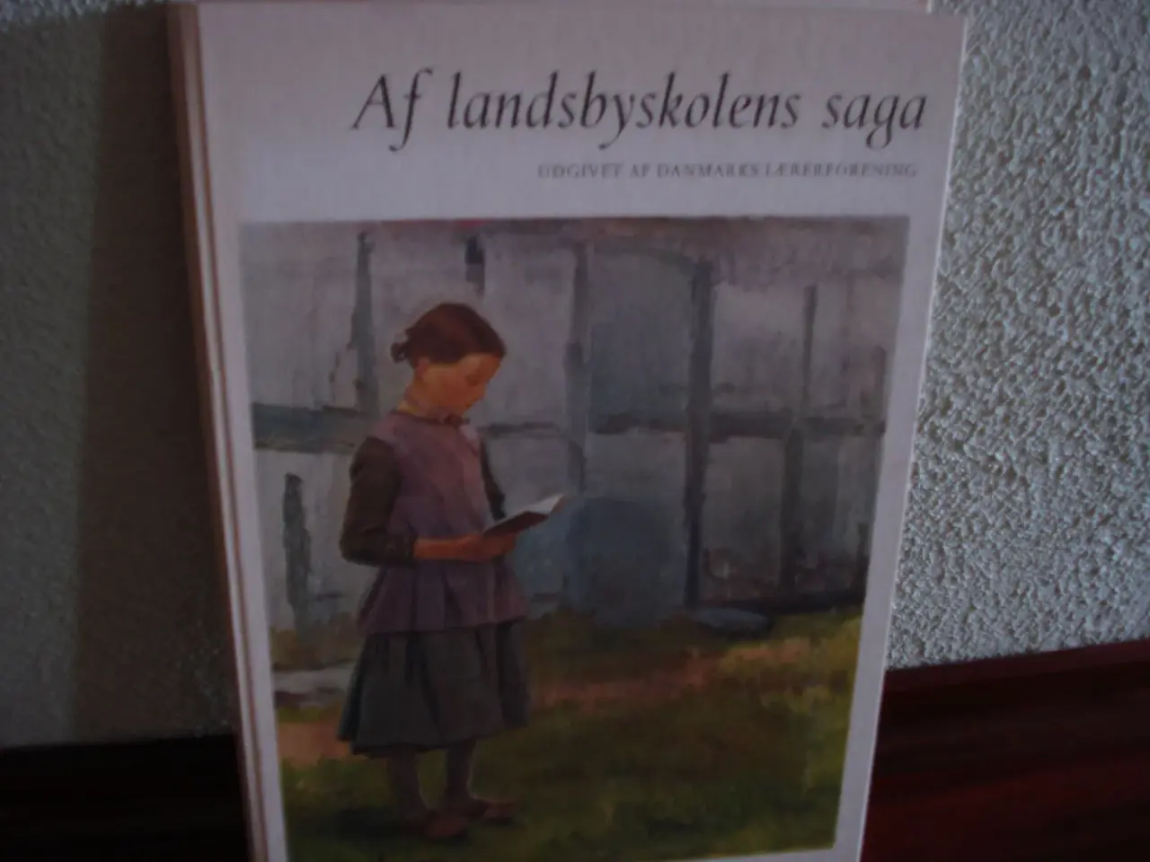Billede 1 - Af landsbyskolens saga