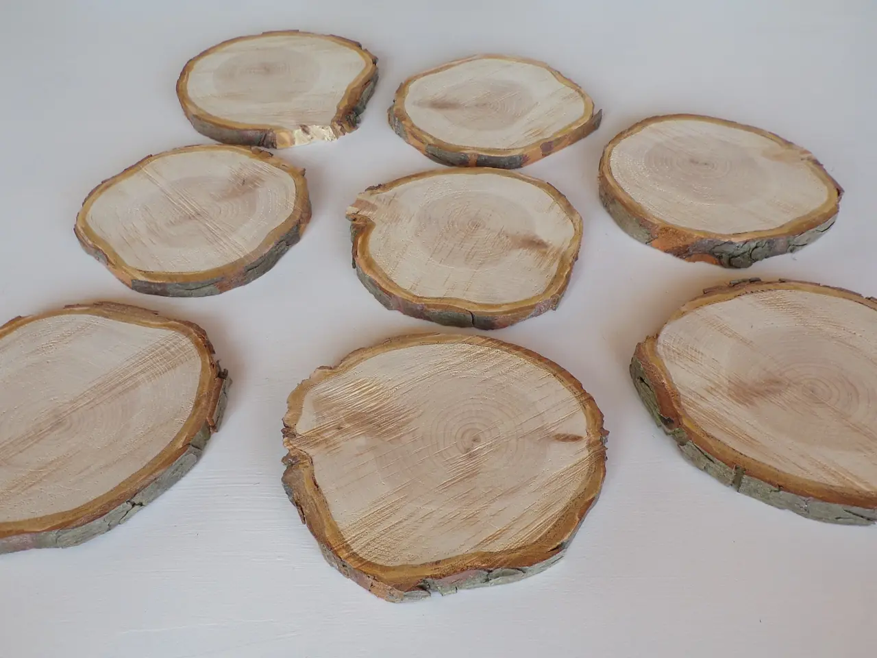Billede 1 - Træskiver i Thuja - 15-17 cm