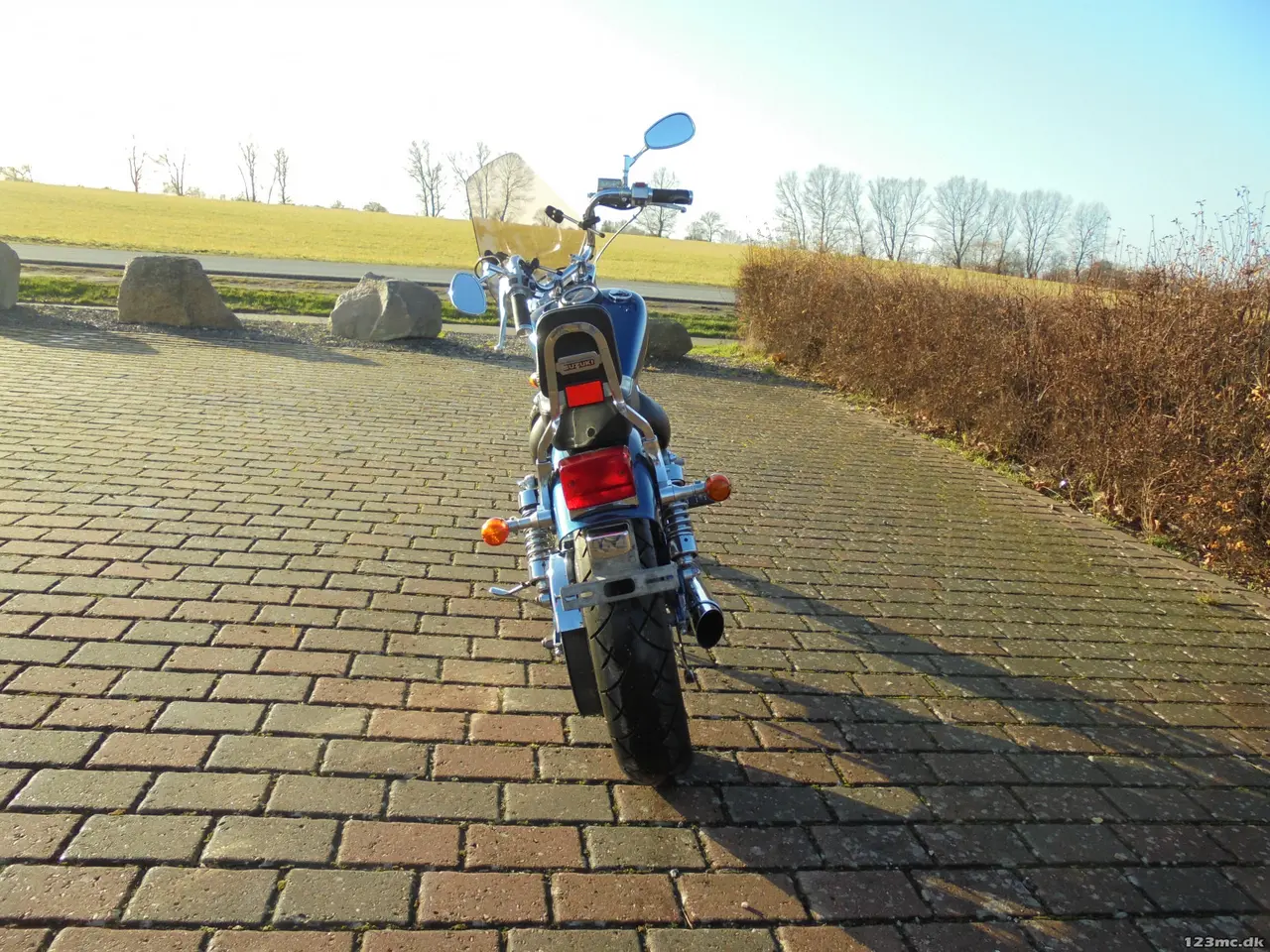 Billede 3 - Suzuki LS 650