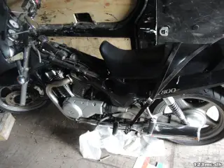 Suzuki VX800