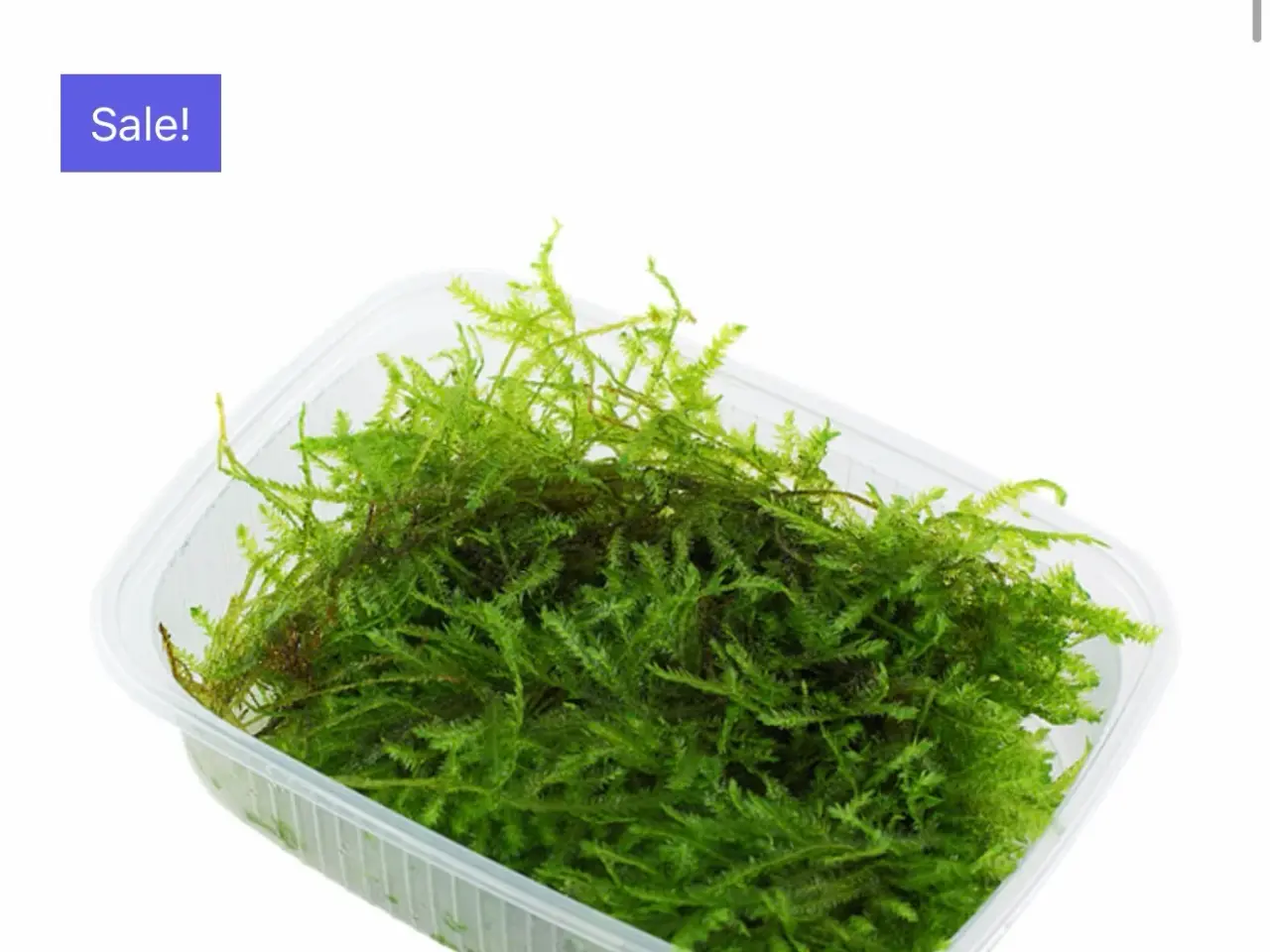 Billede 18 - Flotte 1.2 grow akvarie planter