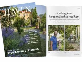 Haven magasiner
