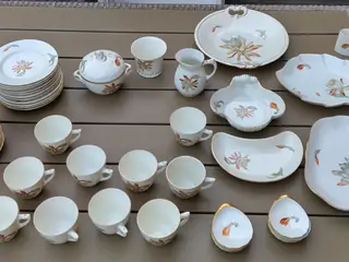 50 dele B & G Porcelæns Stel