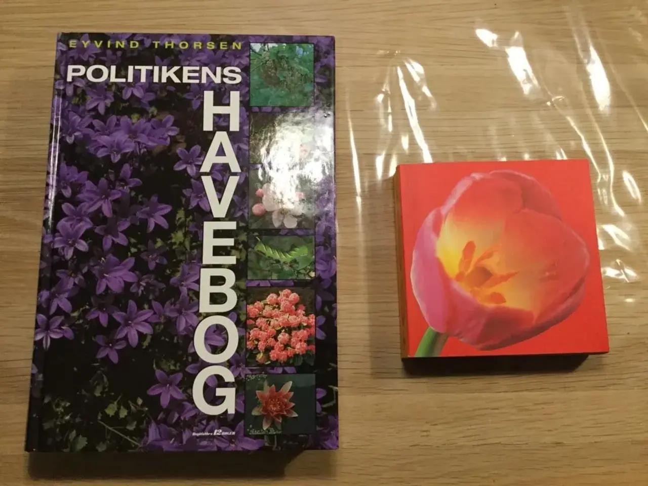 Billede 1 - Politikens Havebog & Lille bog