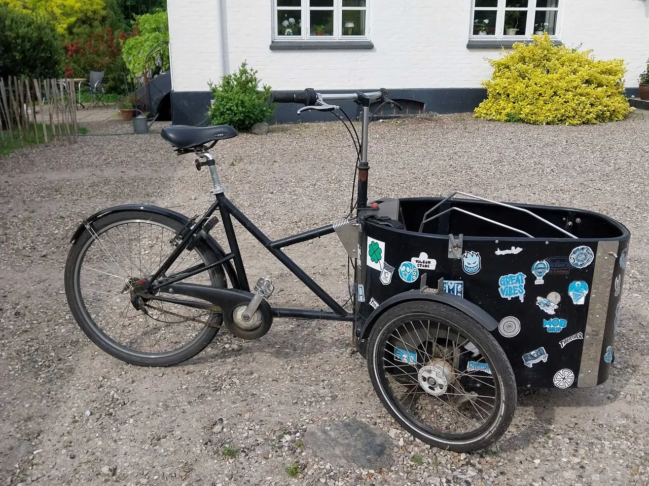 Billede 1 - Ældre Nihola ladcykel