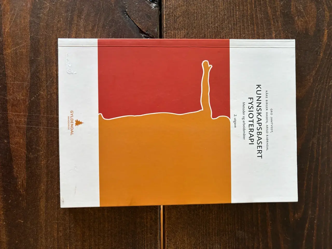 Billede 1 - Studiebog ”Kunnskapsbasert fysioterapi”