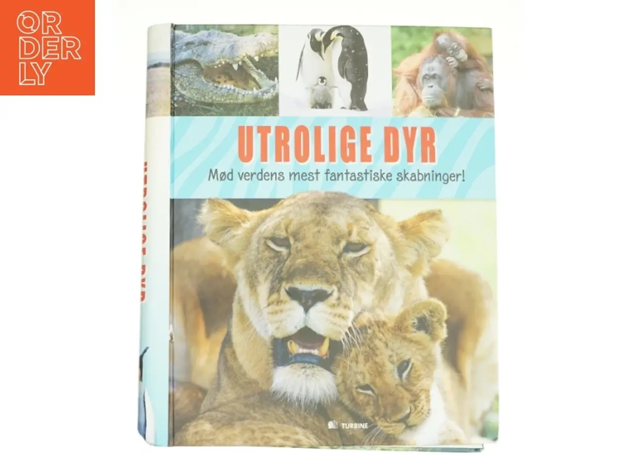 Billede 1 - Utrolige dyr (Bog)