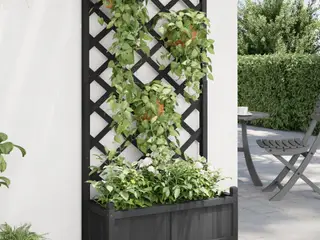 Plantekasse med espalier i massivt grantræ - sort, 75 × 35 × 150 cm