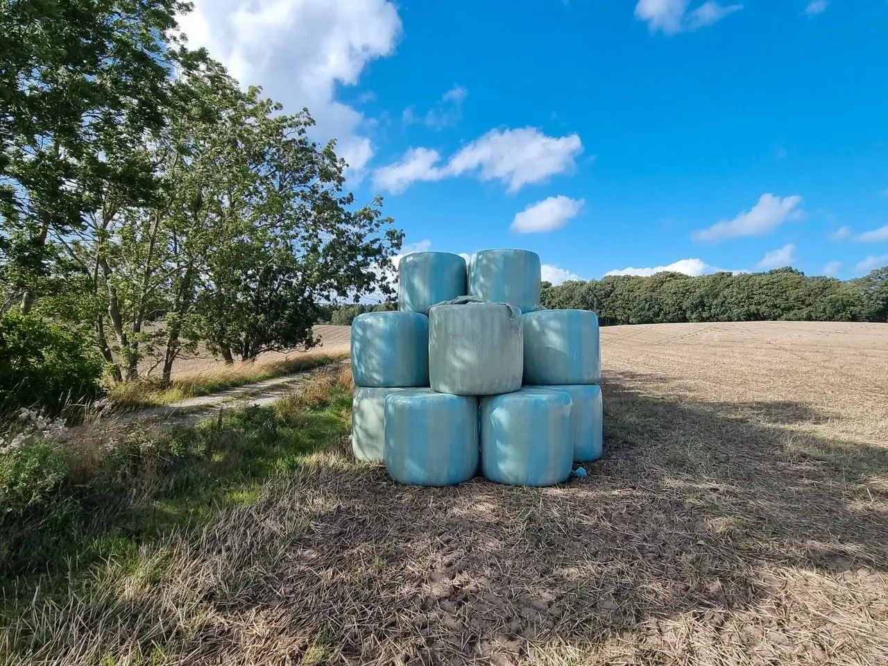 Billede 1 - Hvede wrap