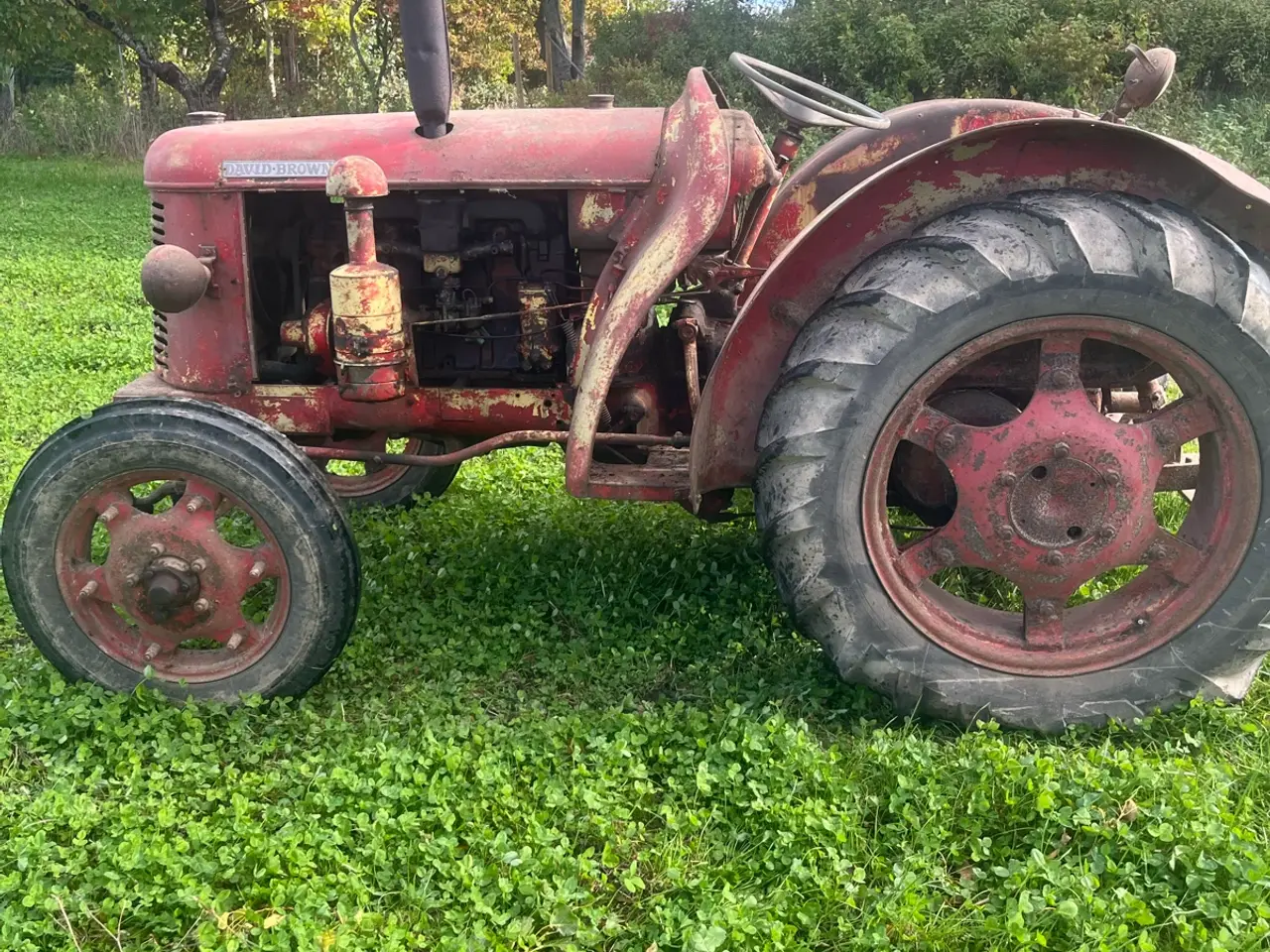 Billede 1 - David Brown Cropmaster