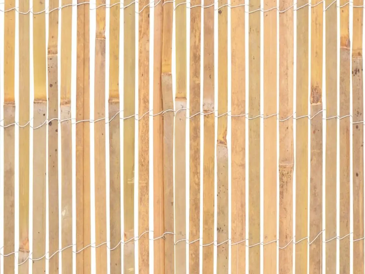 Billede 6 - Bambushegn 1000 x 50 cm