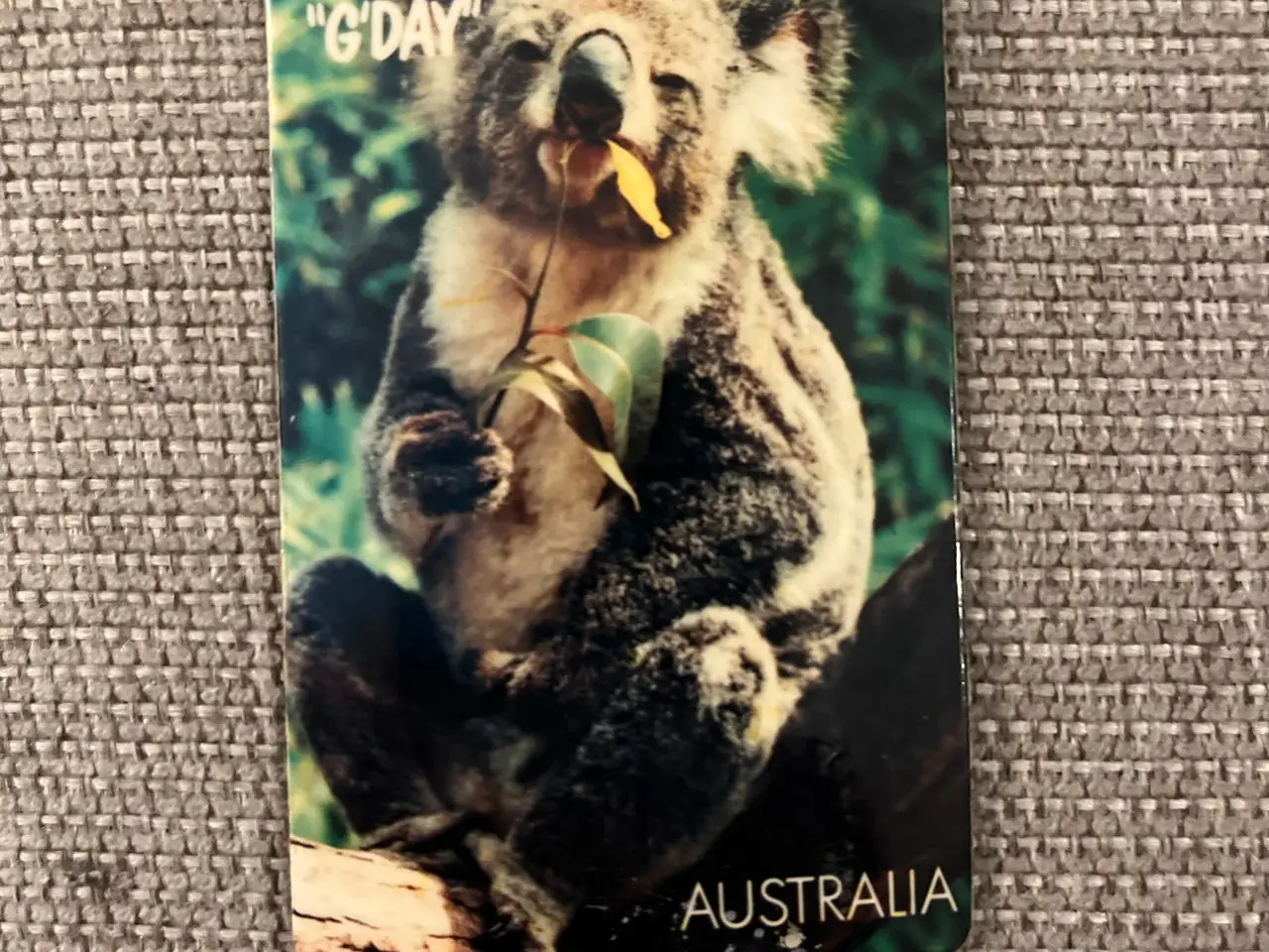 Billede 2 - Magneter fra Australien - 5 stk