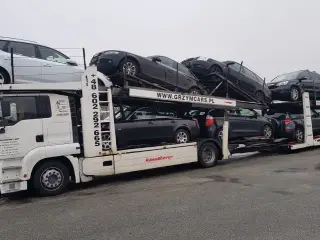Vw Golf Plus købes til Export