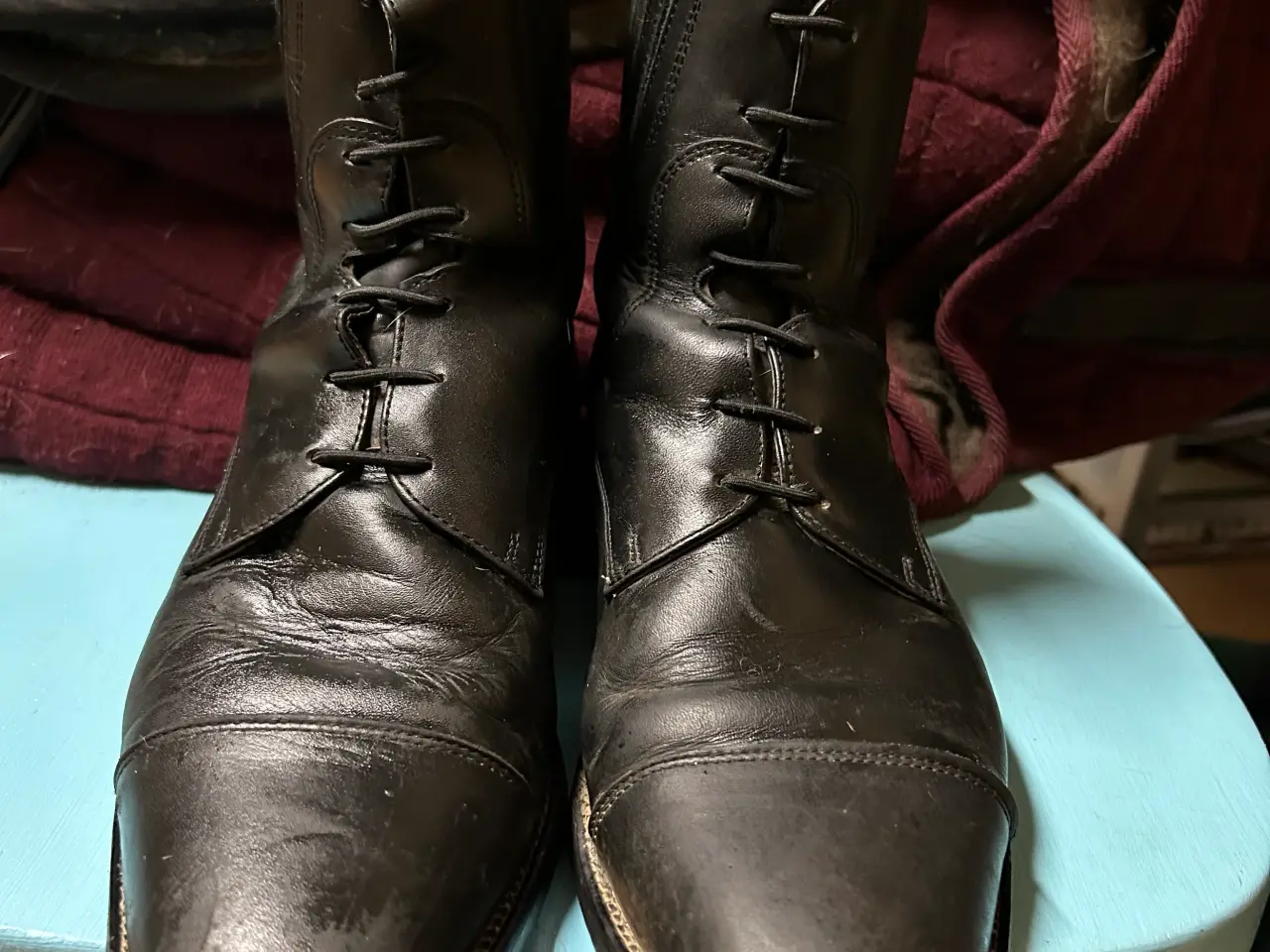 Billede 2 - Cavallo Jodhpurs