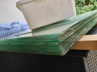 Glas til drivhus