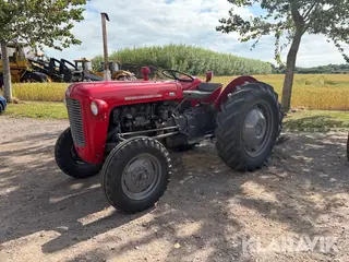 Veterantraktor Massey Ferguson 35